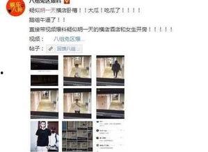 爆料黑料视频在线看,网络爆料背后的真相与争议